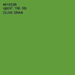 #619E3B - Olive Drab Color Image